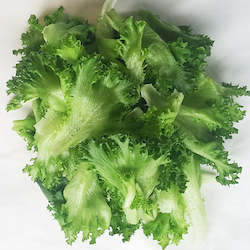 Vegetable growing: Lettuce, Frilly lettuce, sweet & crunchy - 200g