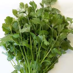 Vegetable growing: Coriander - whole plant