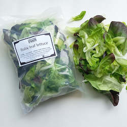 Vegetable growing: Lettuce babyleaf mix - 200g