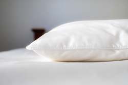 Household linen wholesaling: Pillows - 70% Mulberry Silk