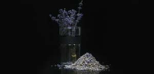 Lavender Blossom Tea