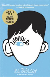 Wonder by R. J. Palacio – Guided Reading Plans (Single Licence)