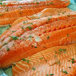 Cut lunch: Side of Salmon