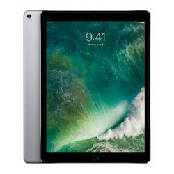 iPad Pro 12.9 (2nd Gen - 2017) (256GB) (cellular & wifi)