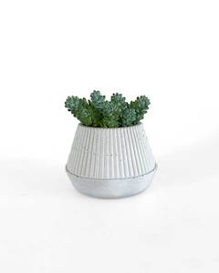 Mini Concrete Planter