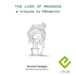 Book and other publishing (excluding printing): The loss of madness | ePub