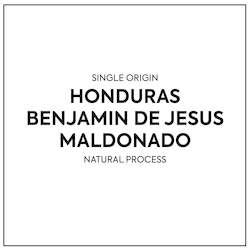 Single Origin - Honduras Benjamin de Jesus Pacamara Natural