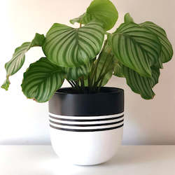 Small Aztec Stripes Plant Pot in Black and White