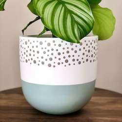 Custom Painted Polka Dot Lightweight Plant Pot