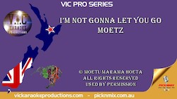 Entertainer: Moetz - I'm Not Gonna Let You Go