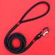 Black Rope Leash Red Accent